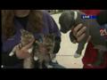 News video: Pet Pals: Cats, dogs in special PPP edition