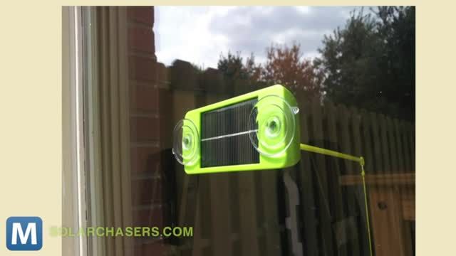 News video: Let the sun Help Entertain Your cat